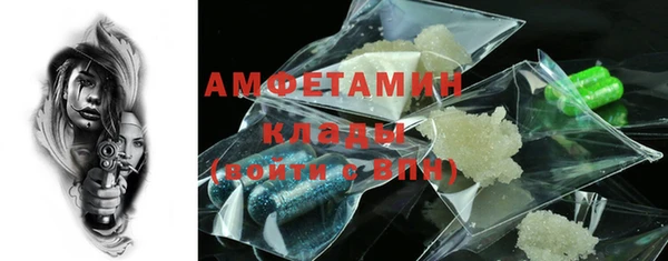 прущие грибы Заволжье