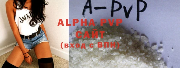 прущие грибы Заволжье