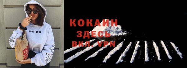 прущие грибы Заволжье