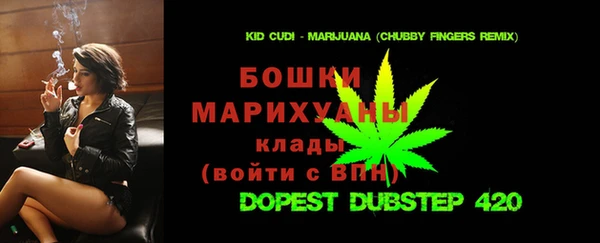 прущие грибы Заволжье