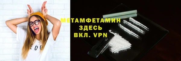прущие грибы Заволжье