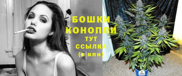 прущие грибы Заволжье