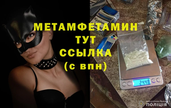прущие грибы Заволжье