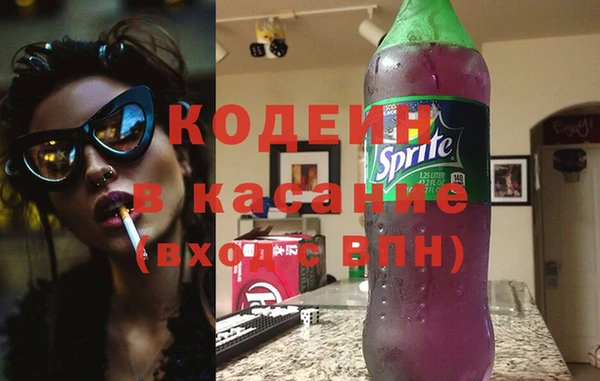 прущие грибы Заволжье