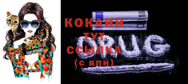 прущие грибы Заволжье
