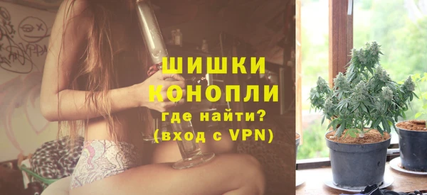 прущие грибы Заволжье